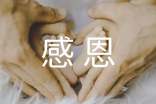 感恩父母的心得体会