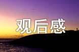 《婚纱》观后感