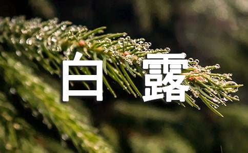 白露时节祝福语