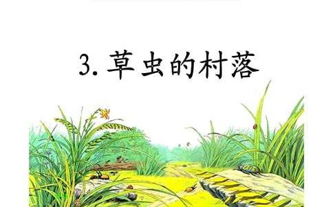 《草虫的村落》教学设计15篇