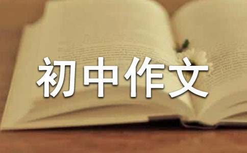 精选优秀初中作文300字八篇