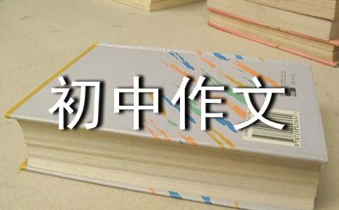 【实用】初中作文300字三篇