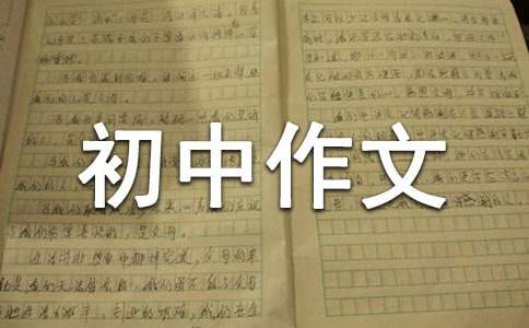 【精品】初中作文300字合集八篇