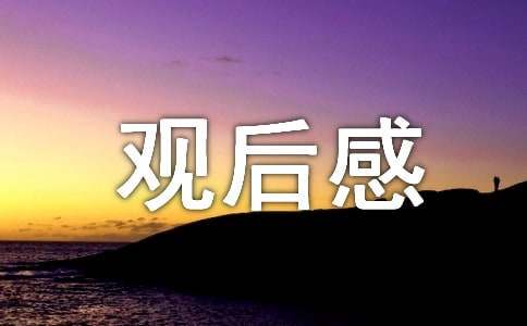 《假文盲》观后感(15篇)