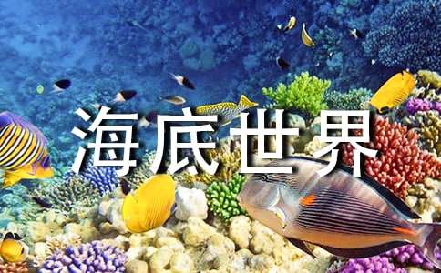 《海底世界》教学反思精选15篇