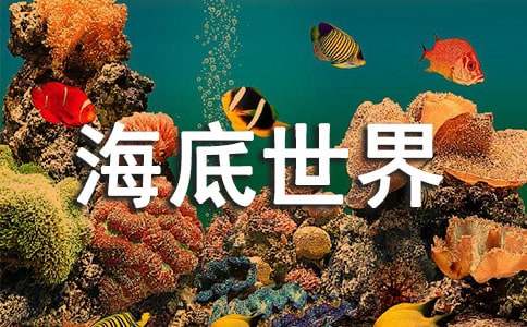 《海底世界》教学反思15篇