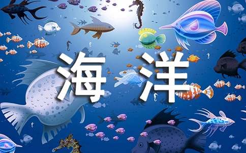 《海洋奇缘》观后感