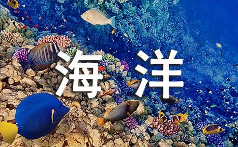 海洋天堂观后感