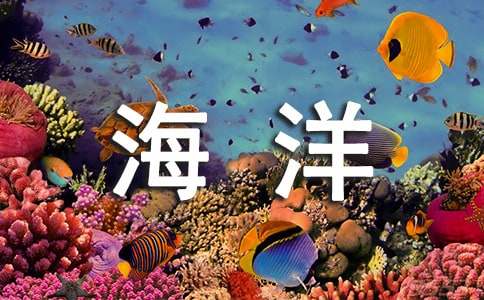 世界海洋日宣传标语12篇【合集】