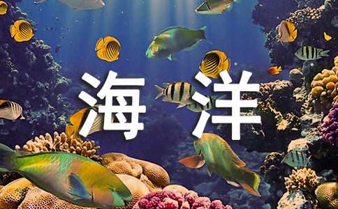 海洋奇缘观后感