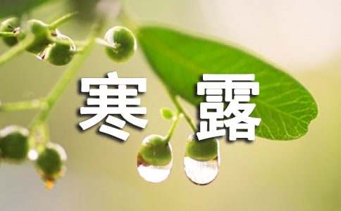 寒露节气的心语