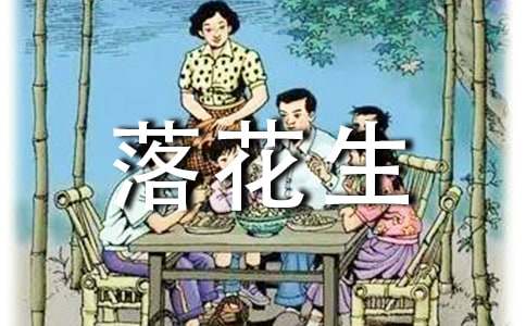 《落花生》读后感