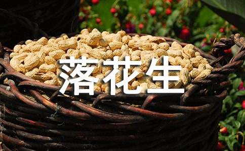 《落花生》教案范文合集七篇