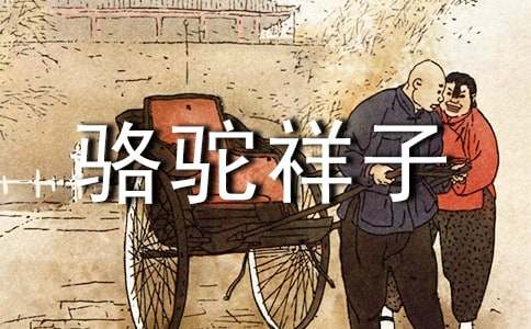 《骆驼祥子》读书笔记集合15篇