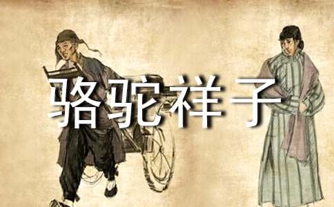 《骆驼祥子》读书心得体会