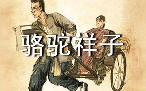 《骆驼祥子》观后感