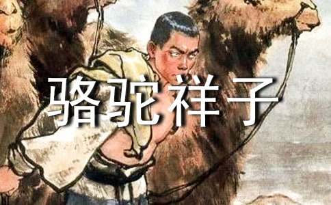 《骆驼祥子》读后感