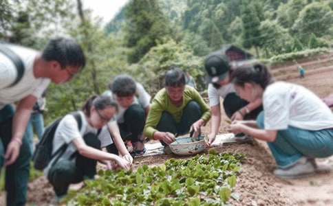 大学生三下乡社会实践活动方案