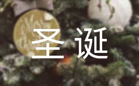 圣诞节活动方案(集锦15篇)