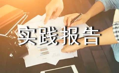 暑期社会实践报告【精】