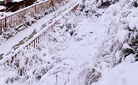 《下雪的早晨》教学设计