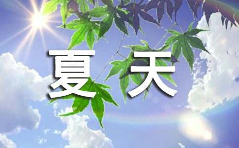 【精华】夏天的小学作文三篇