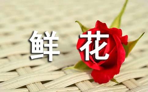 《开满鲜花的小路》教学反思