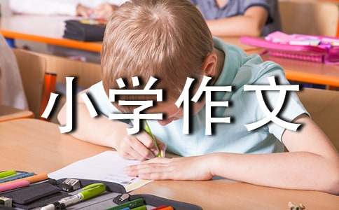 小学作文300字(4篇)