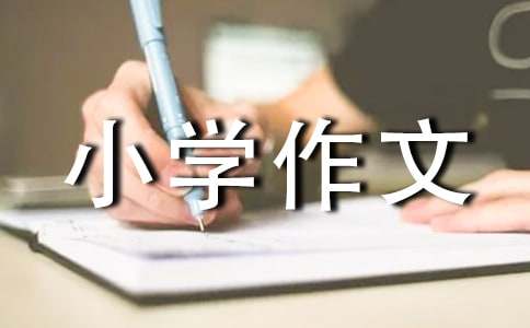 精选小学作文600字集合六篇