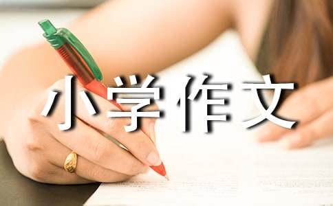 美丽小学作文300字合集8篇