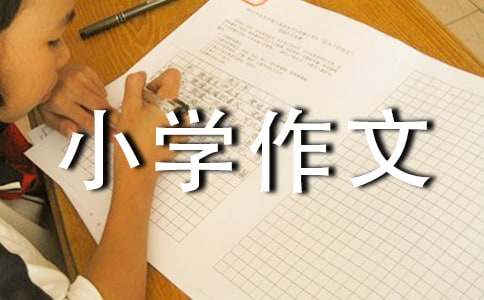 有关美丽的小学作文400字4篇