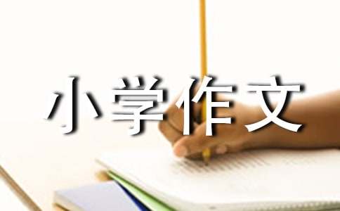 精选美丽小学作文400字4篇