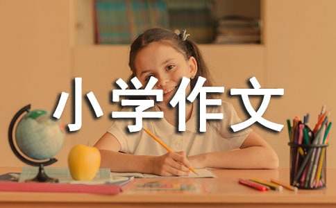 【必备】三年级小学作文4篇