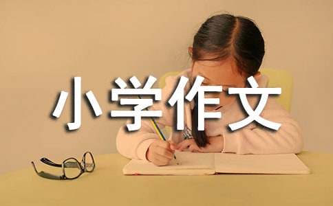 小学作文300字(优选)