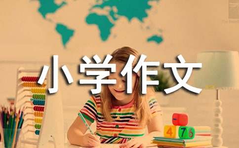 【精华】我的小学作文300字4篇