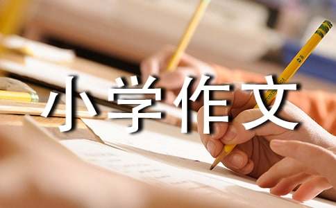 精选难忘的小学作文锦集5篇