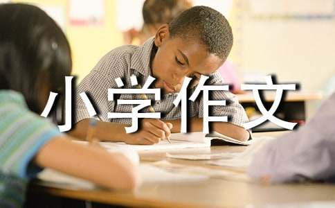 我的小学作文[合集3篇]