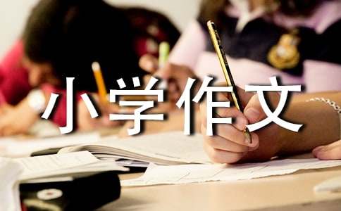 【推荐】我的小学作文3篇