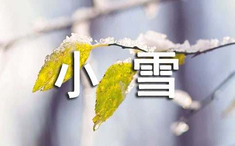 《好心的小雪人》教学设计