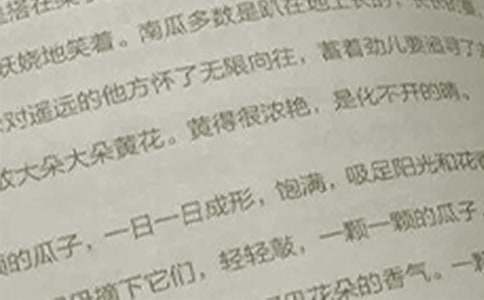 精选小学语文教案范文合集六篇