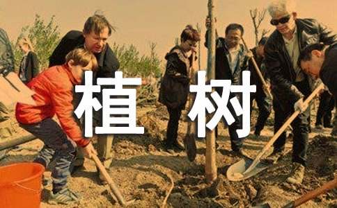 《邓小平爷爷植树》教学反思