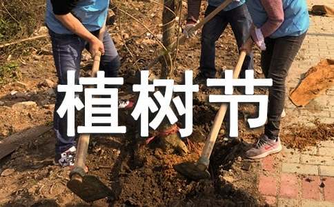 学生植树节策划书14篇