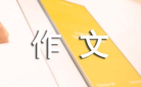 小学的作文300字(优秀3篇)